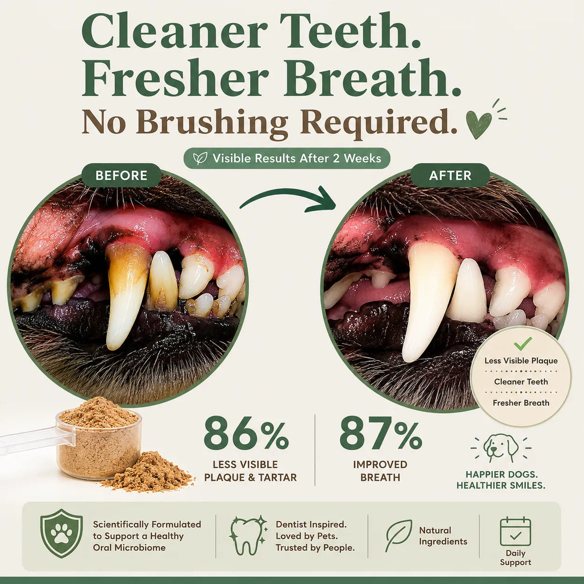 Close-up views of a dog's teeth next to a scoop of Daily Dental Defense powder