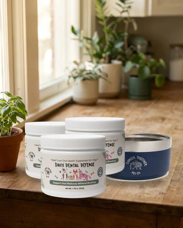 Three jars of Daily Dental Defense and a navy Longer Together dog bowl on a kitchen counter